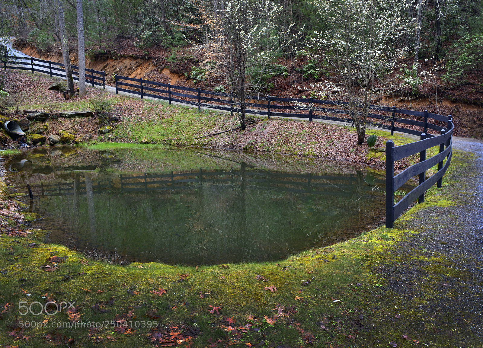 Nikon D5200 sample photo. Fishing pond on stockton photography