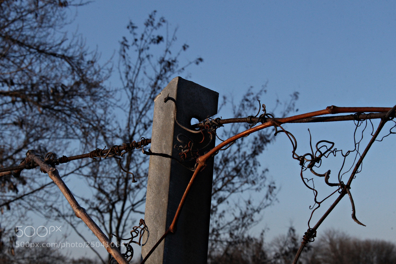 Canon EOS 700D (EOS Rebel T5i / EOS Kiss X7i) sample photo. Wiry vista photography