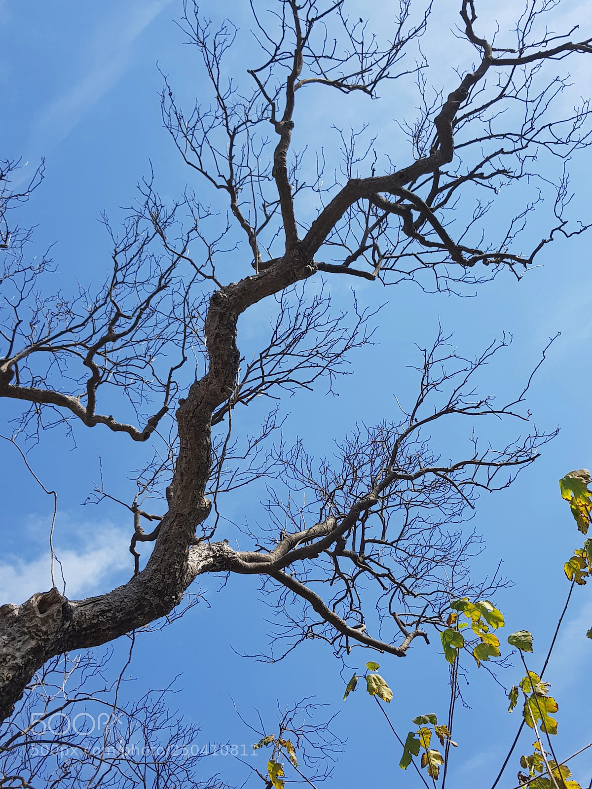 Samsung Galaxy S8 sample photo. 20180205_122856.jpg photography