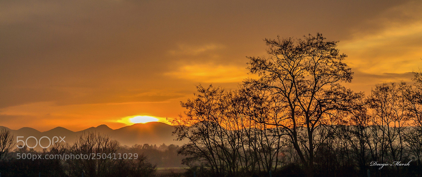 Canon EOS 5D sample photo. Untitled photography
