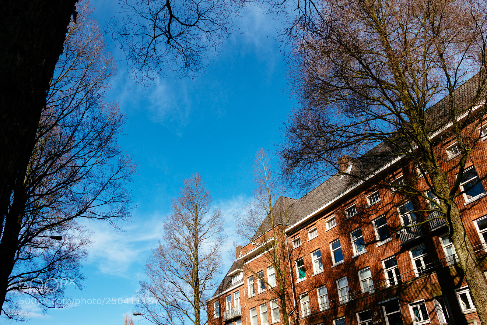 Canon EOS 100D (EOS Rebel SL1 / EOS Kiss X7) sample photo. A good light walk photography