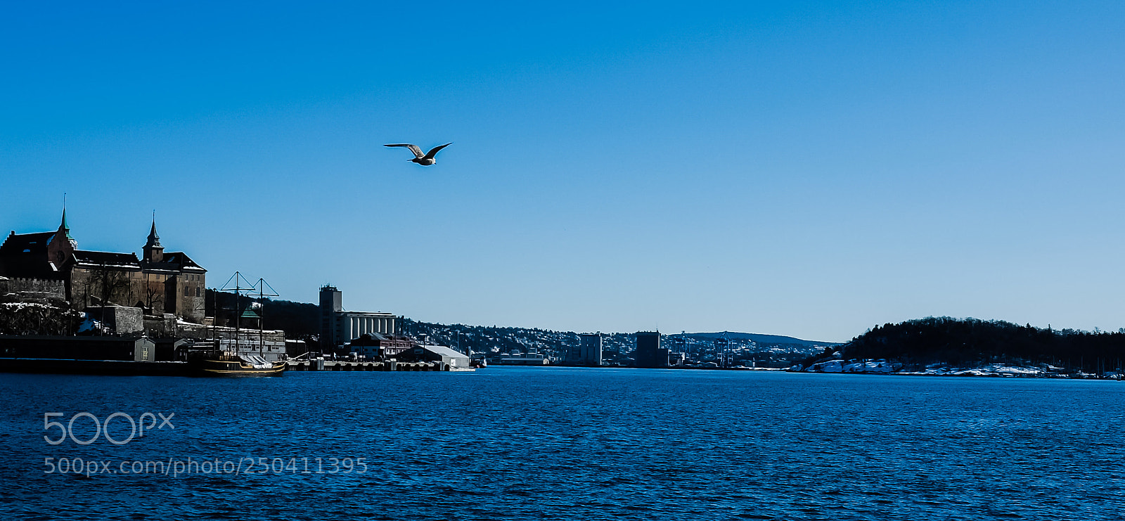 Fujifilm X-Pro2 sample photo. Bird on flight photography