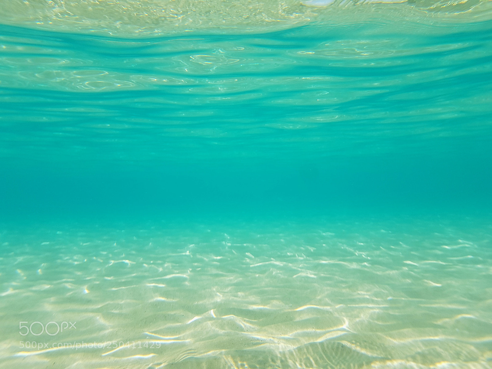 Samsung Galaxy S8 sample photo. Under the sea photography