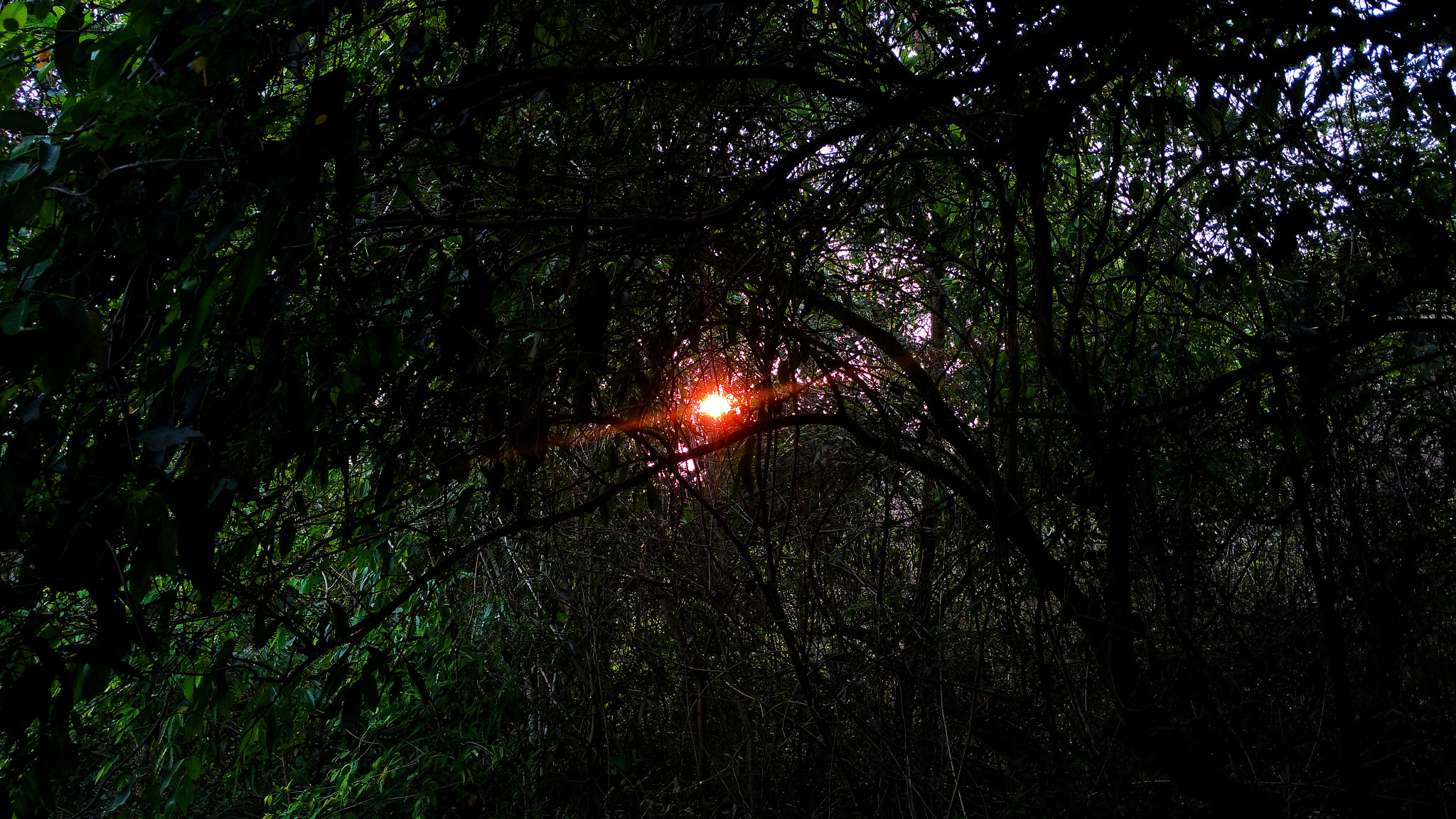 Motorola Moto X Play sample photo. Sunlight photography