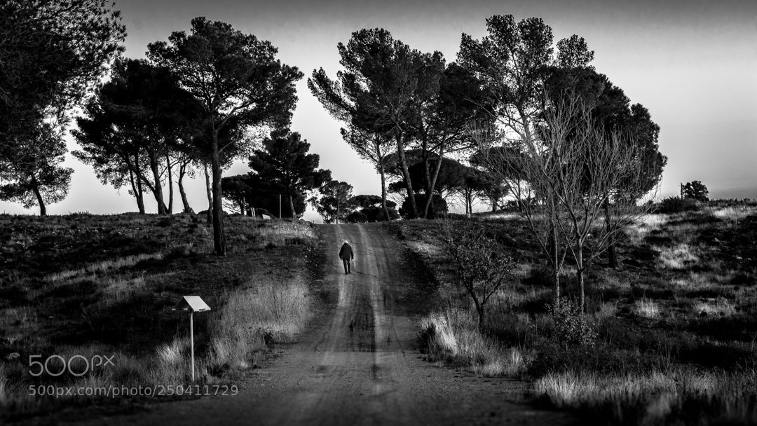 Nikon D7100 sample photo. I'm walking alone... photography