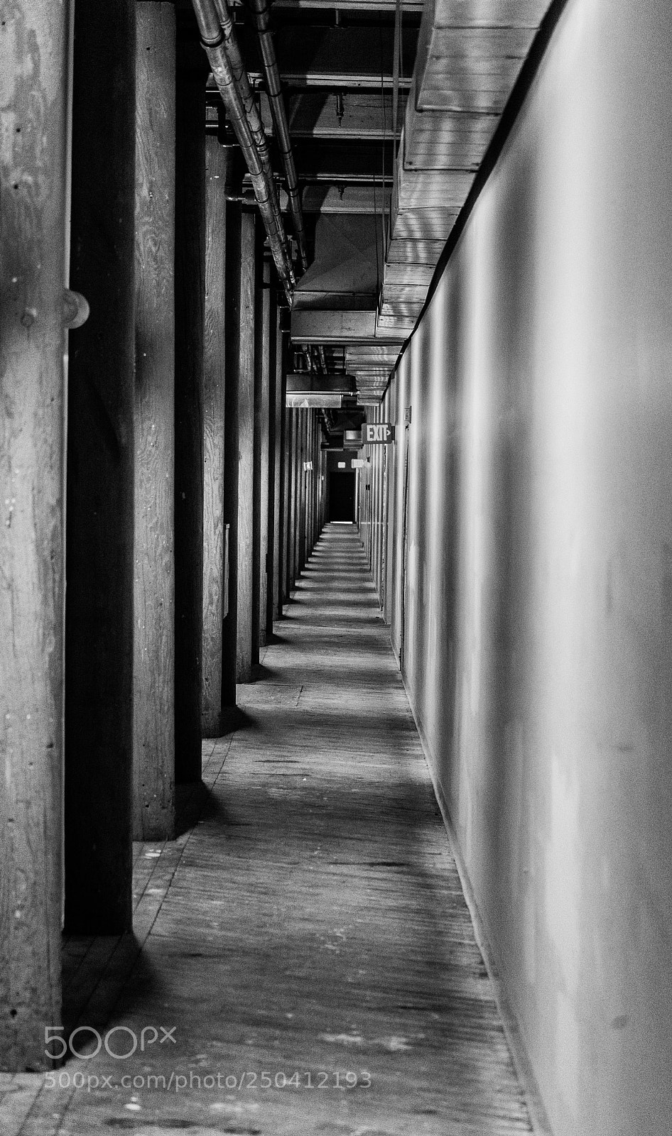 Nikon D610 sample photo. The long corridor photography