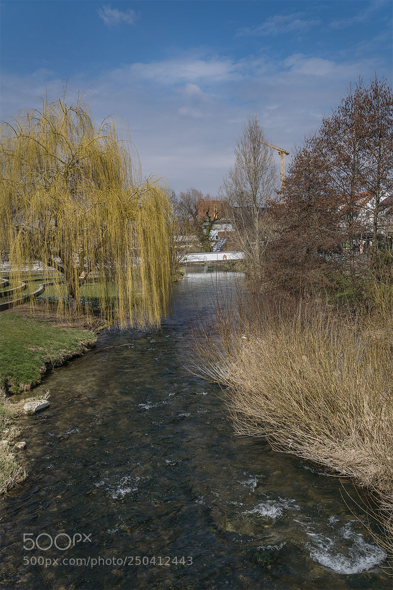 Sony a7R II sample photo. Reutlingen 200318-008 photography