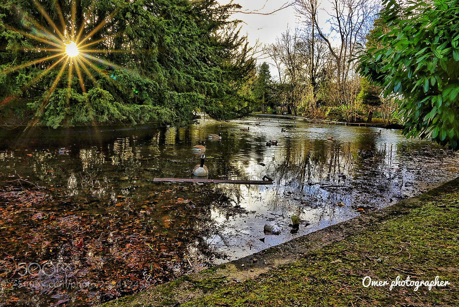 Sony Cyber-shot DSC-RX10 III sample photo. Canon hill park photography