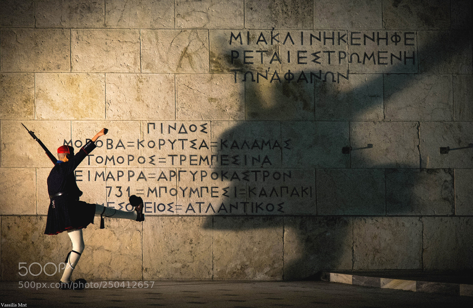 Nikon D610 sample photo. Honouring the brave shadows... photography