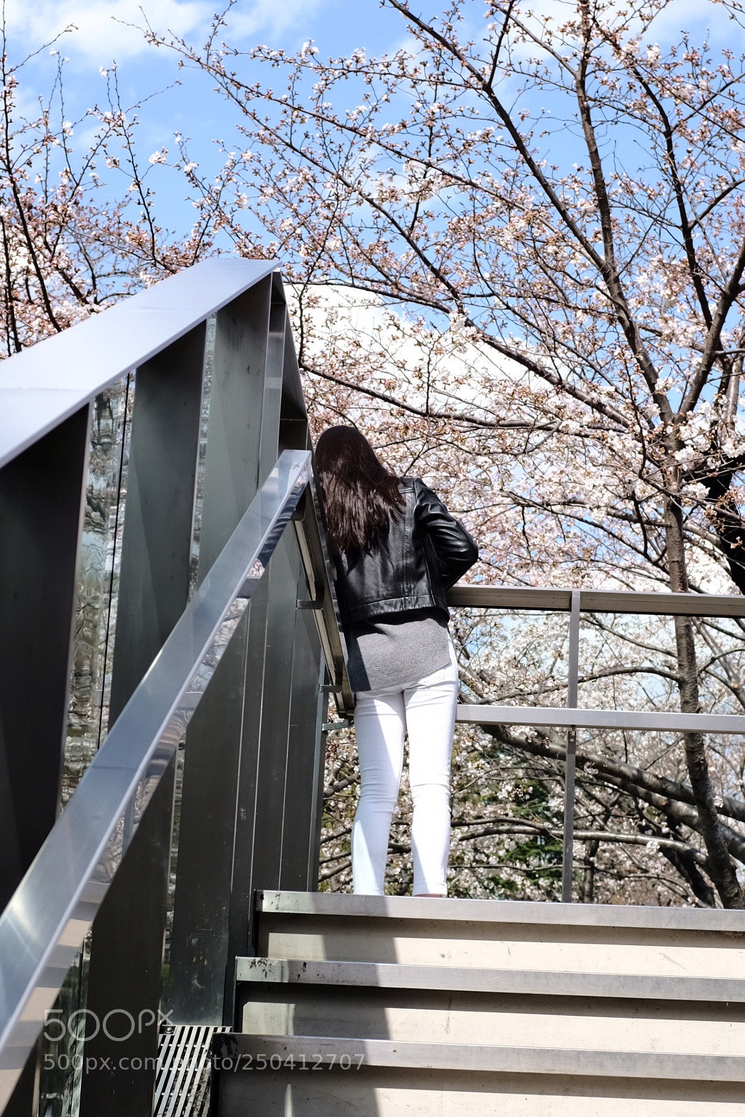 Fujifilm X100F sample photo. Sakura photography