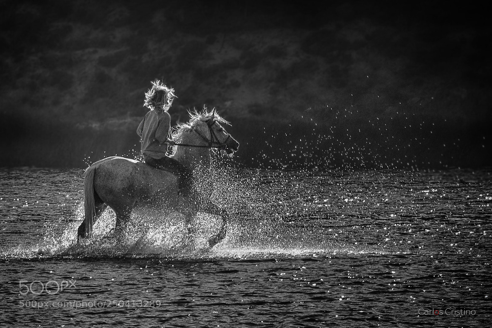 Nikon D7000 sample photo. Wild and freedom photography