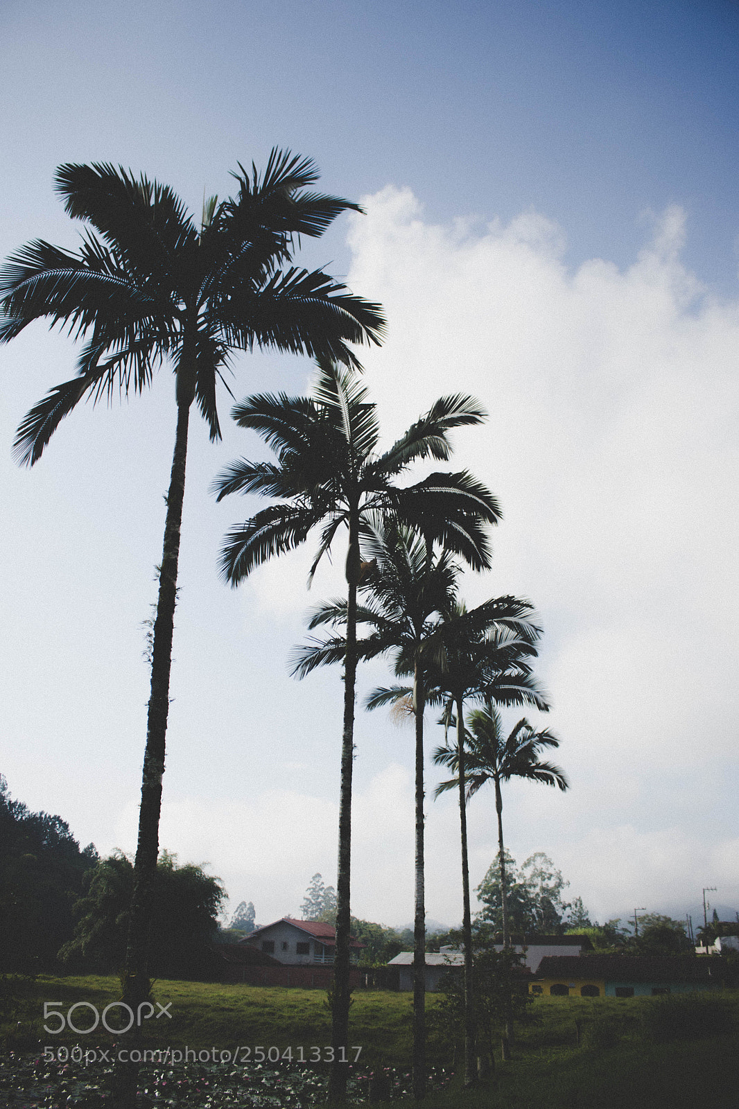 Canon EOS 700D (EOS Rebel T5i / EOS Kiss X7i) sample photo. Untitled photography