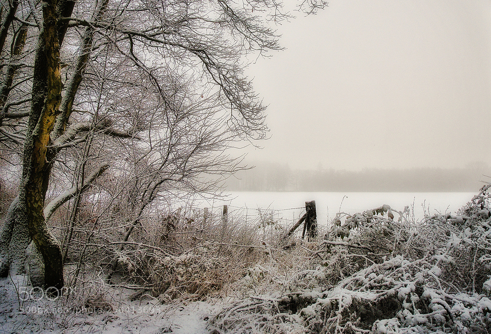 Panasonic Lumix DMC-GX7 sample photo. Second day, first snow photography