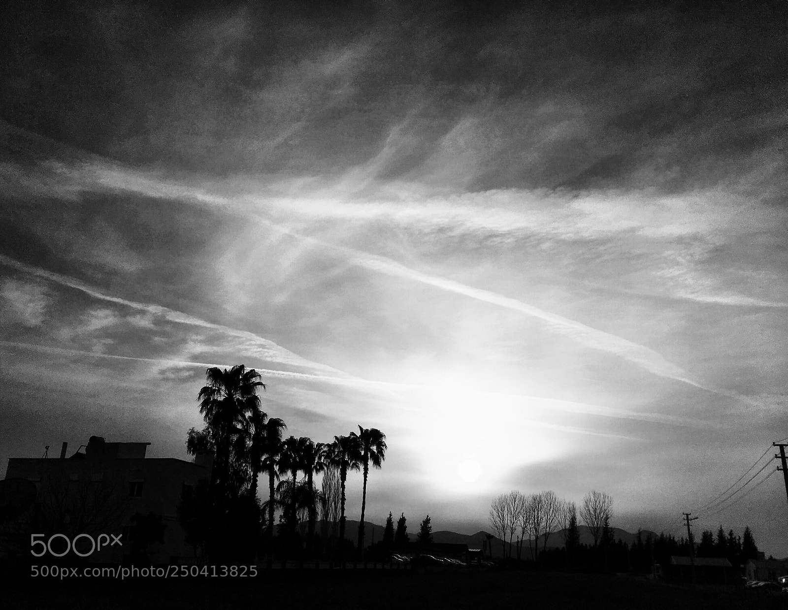 Apple iPhone SE sample photo. Noir  photography