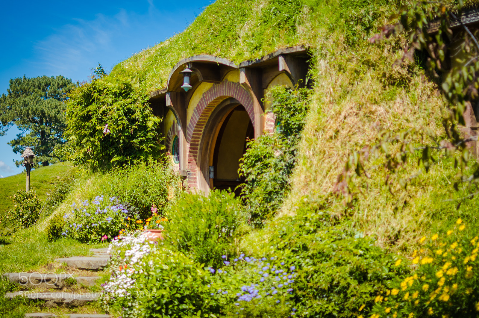 Nikon D7000 sample photo. Bilbo? photography