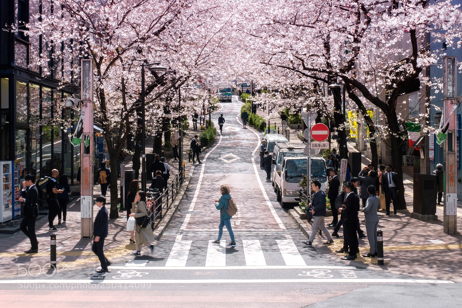 Fujifilm X100F sample photo. Spring has come photography