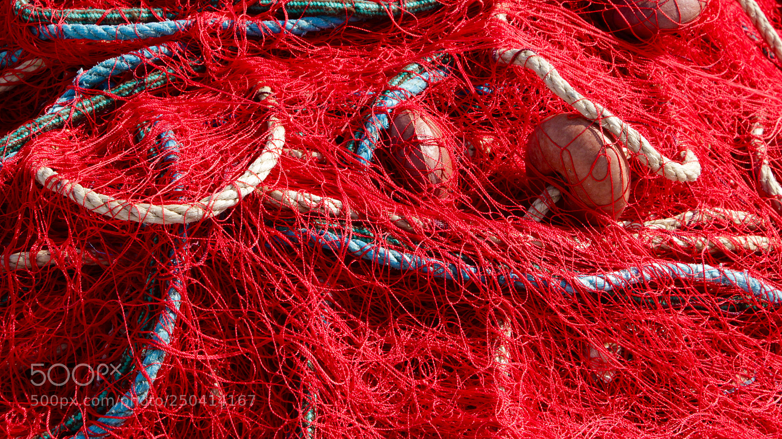Canon EOS 700D (EOS Rebel T5i / EOS Kiss X7i) sample photo. Filets photography