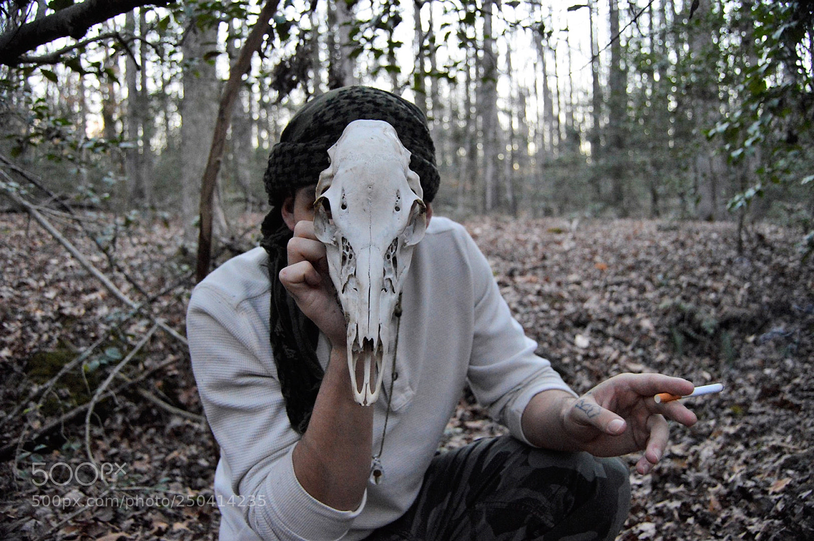 Nikon D3200 sample photo. Kiss of death photography