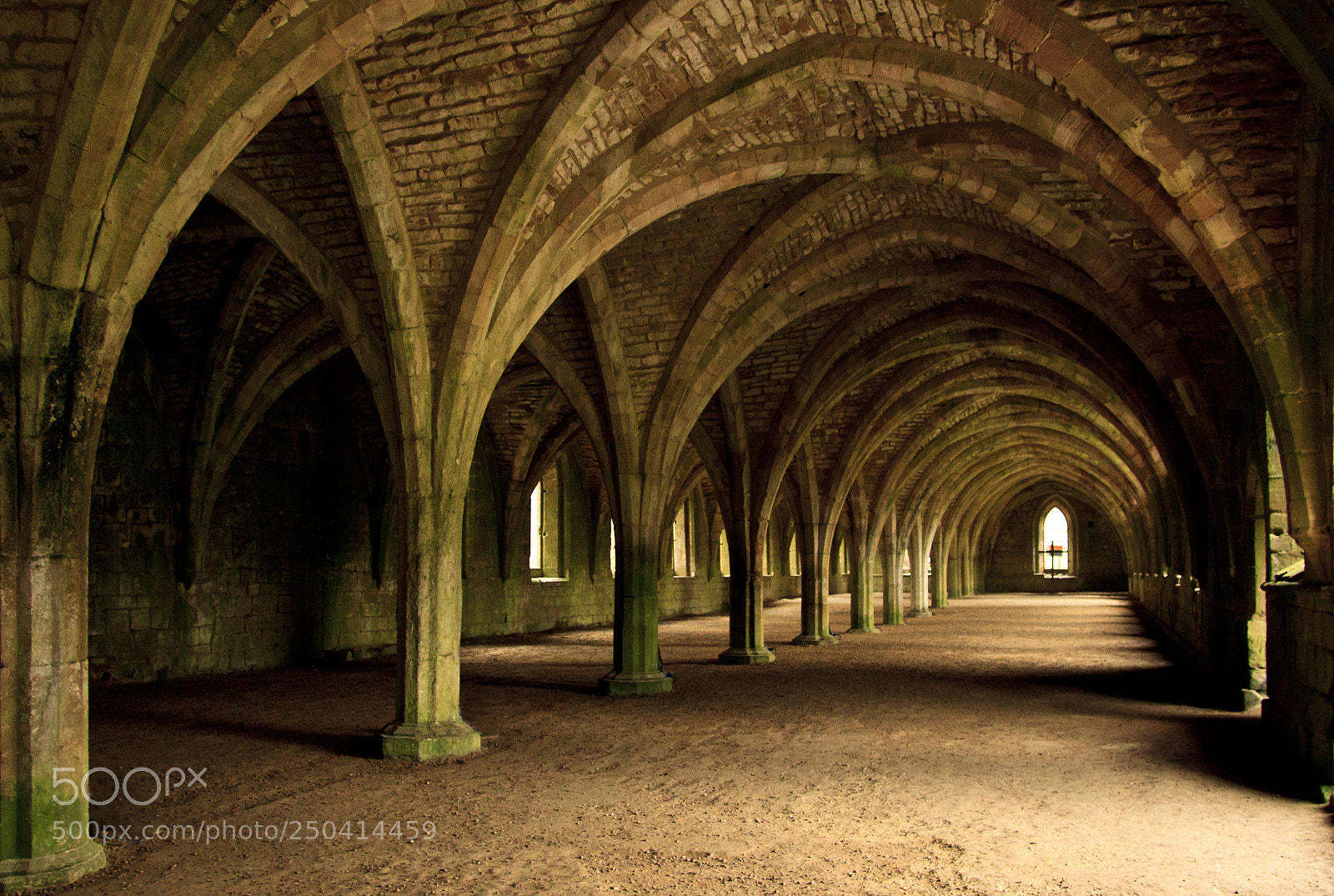 Canon EOS 500D (EOS Rebel T1i / EOS Kiss X3) sample photo. Underneath the arches photography