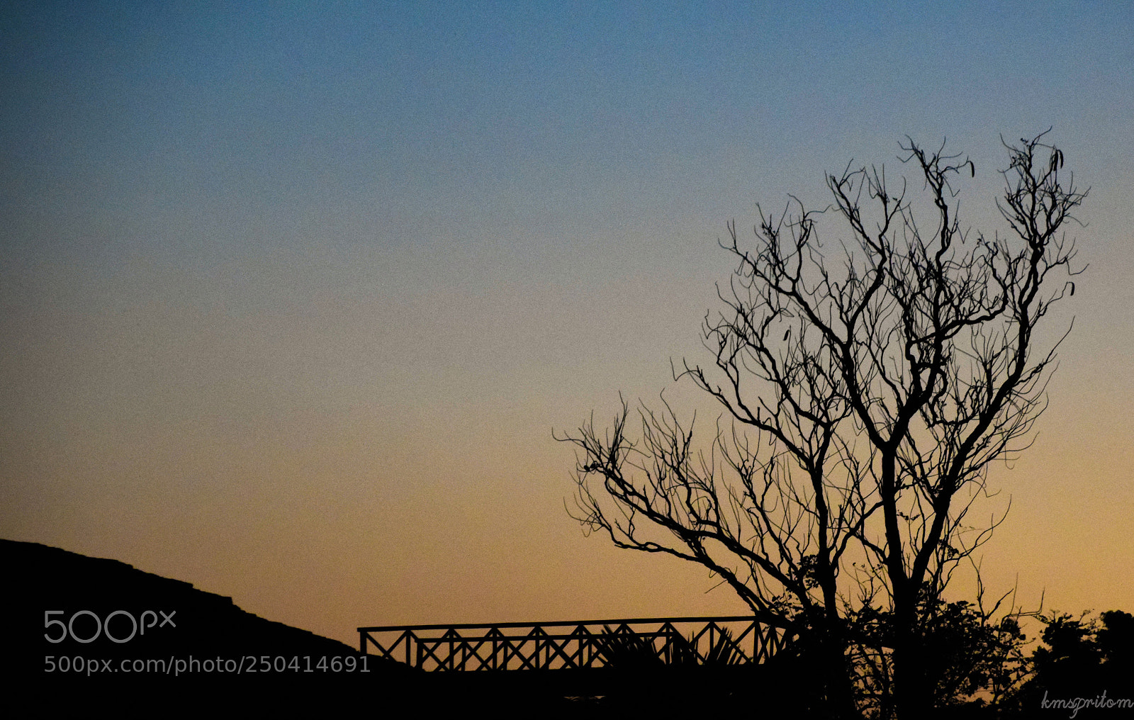 Nikon D3300 sample photo. Loneliness... photography