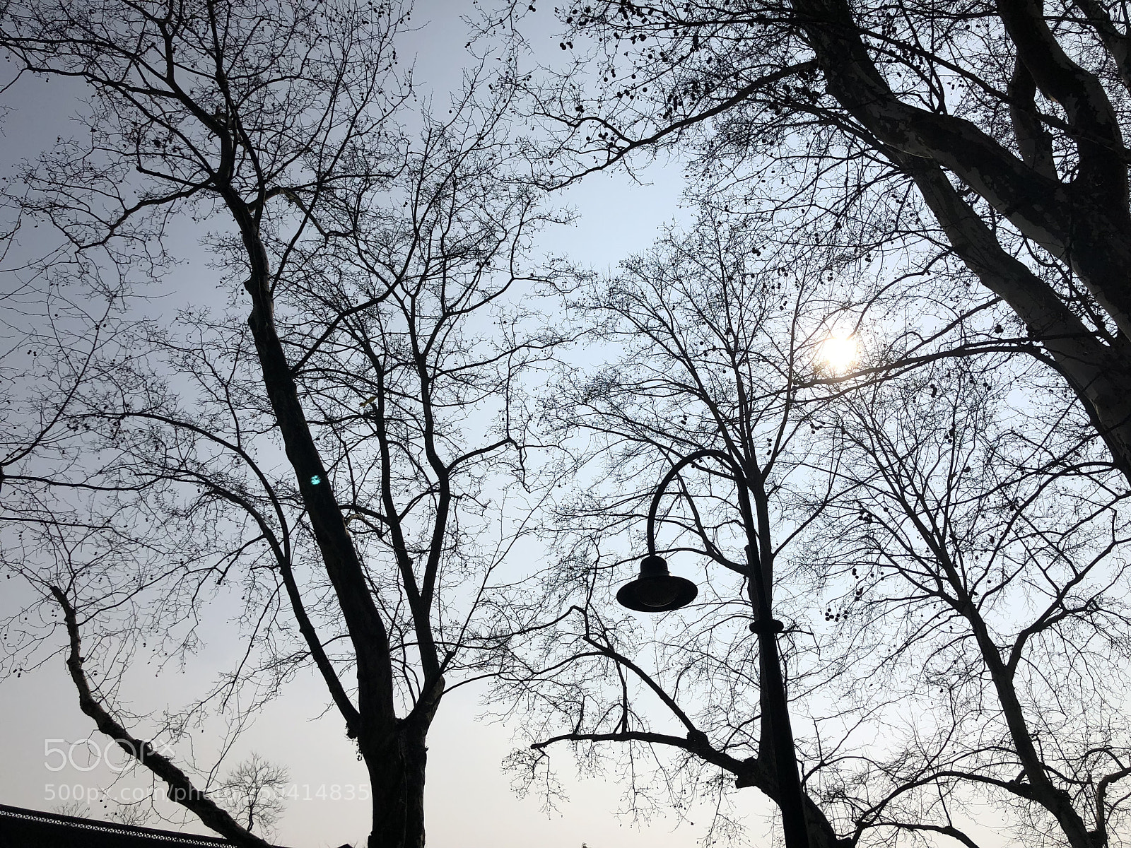 Apple iPhone X sample photo. Untitled photography