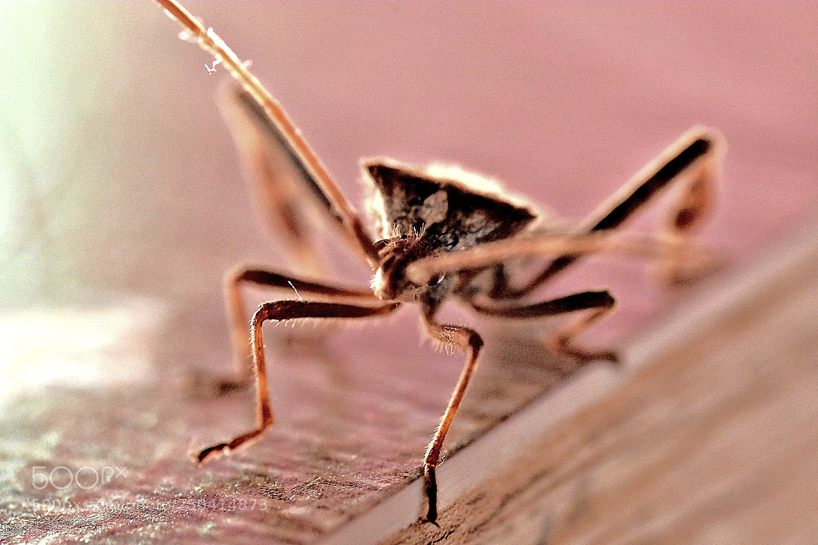 Nikon D3400 sample photo. Untitled photography