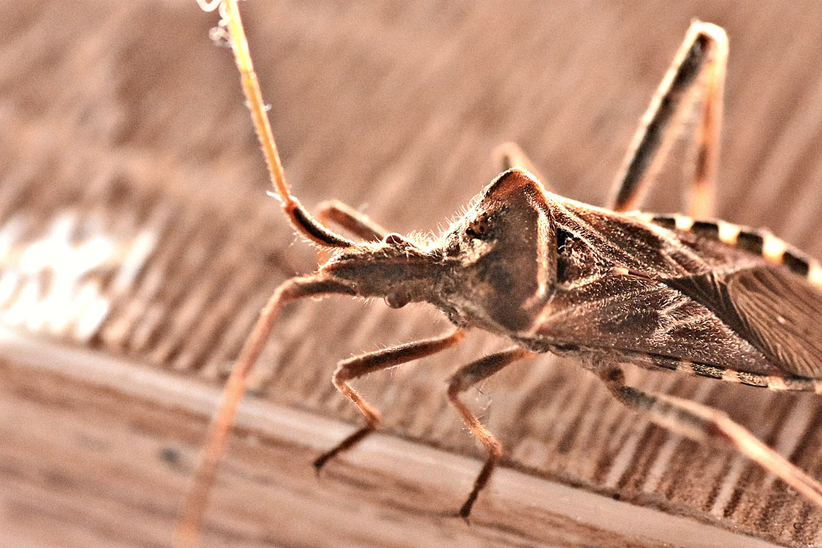 Nikon D3400 sample photo