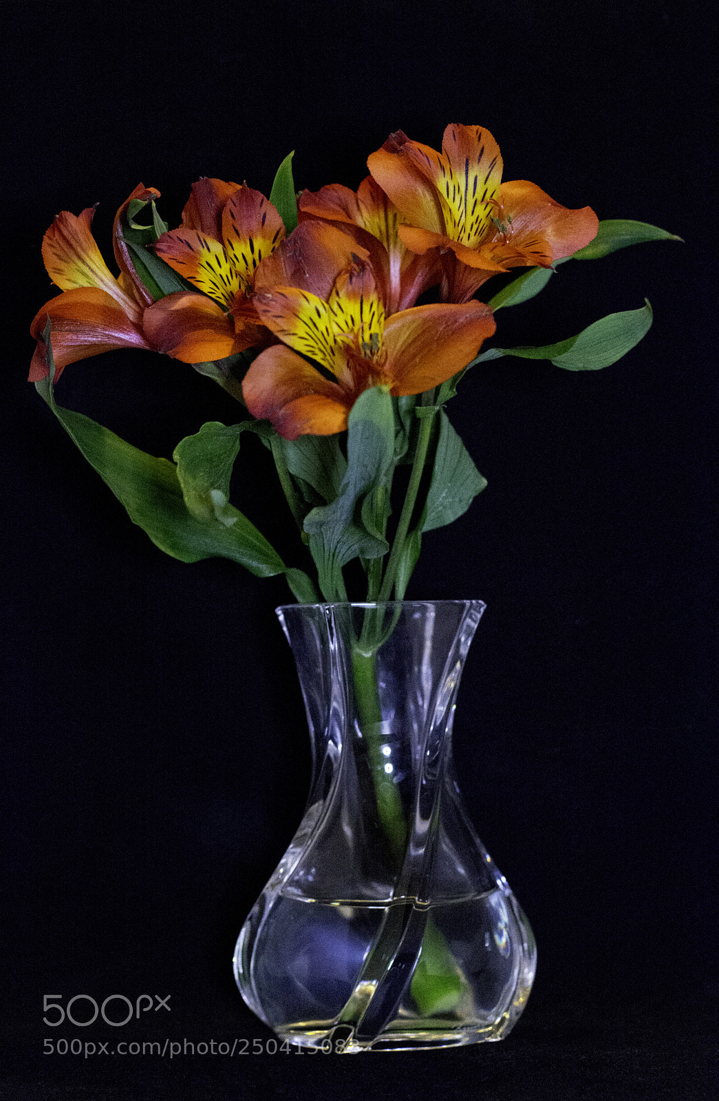 Nikon D7100 sample photo. Small bouquet of flowers photography