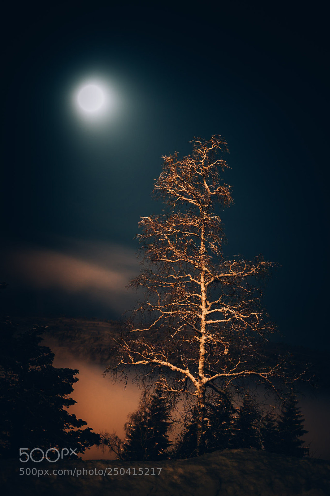Sony a7 II sample photo. Winter night. photography