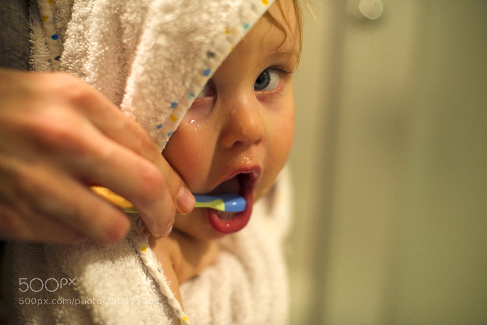 Nikon D600 sample photo. Brush,brush,brush,brush,brush photography