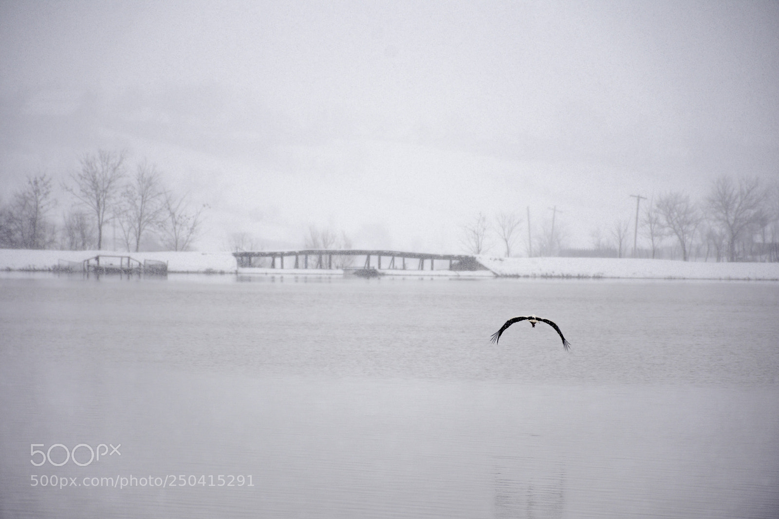 Nikon D7200 sample photo. Stork flying while snowing photography