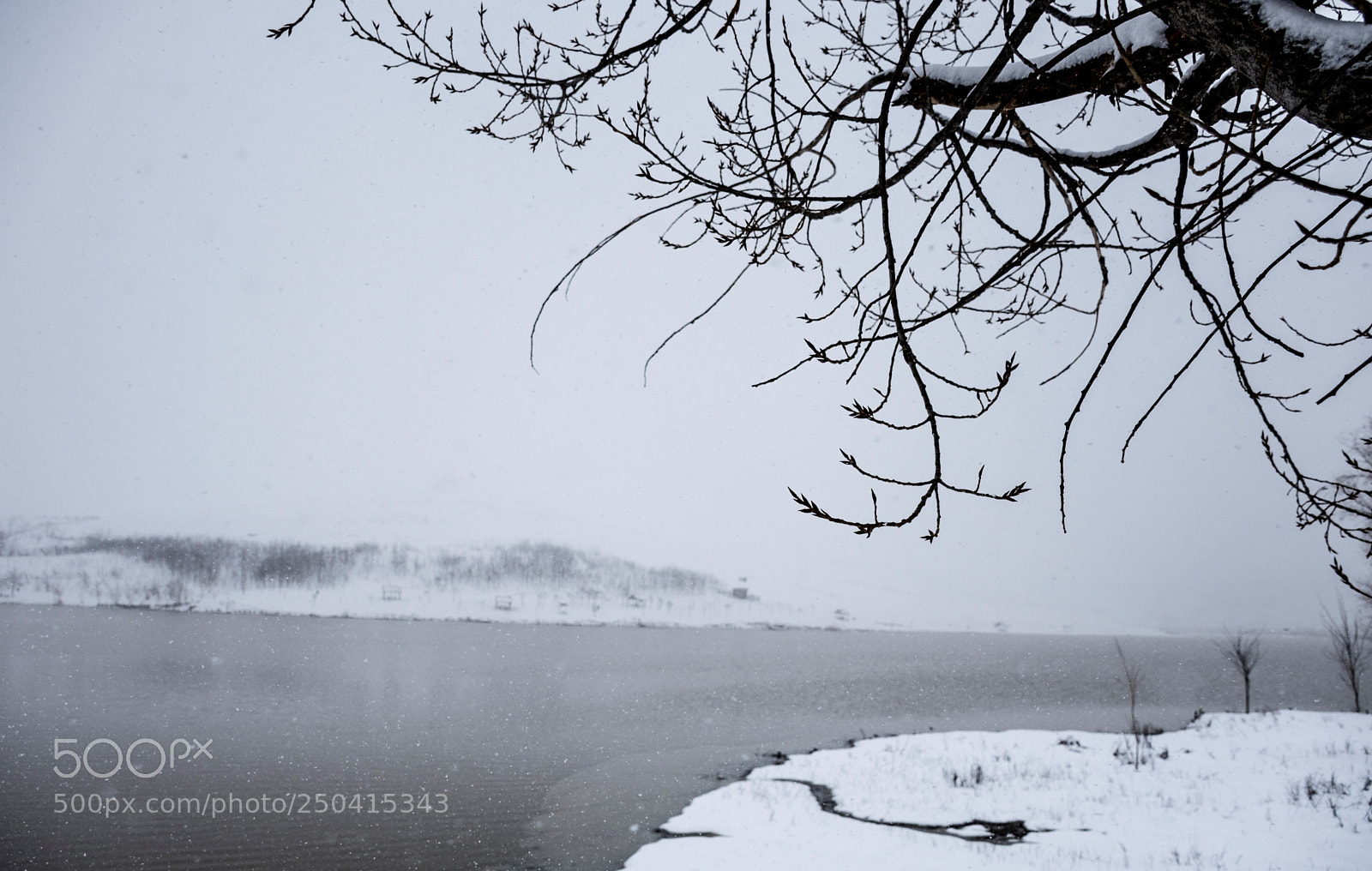 Nikon D7200 sample photo. Snowing at the lake photography