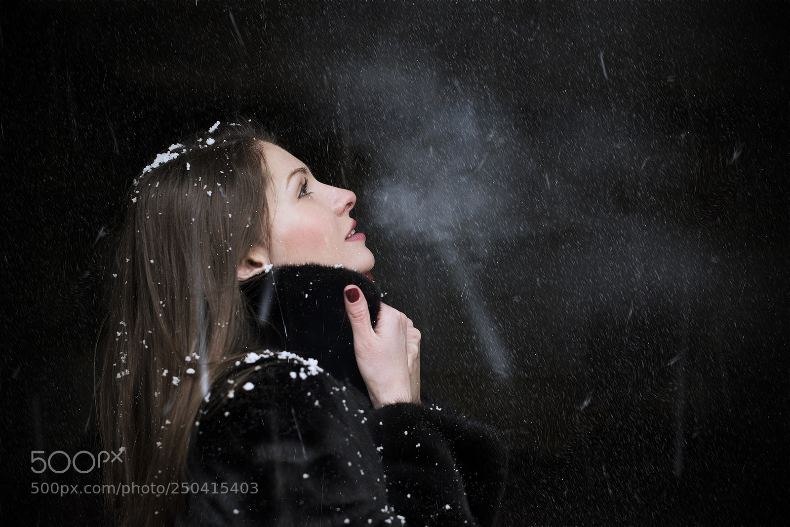 Nikon D810 sample photo. Winter 1 photography