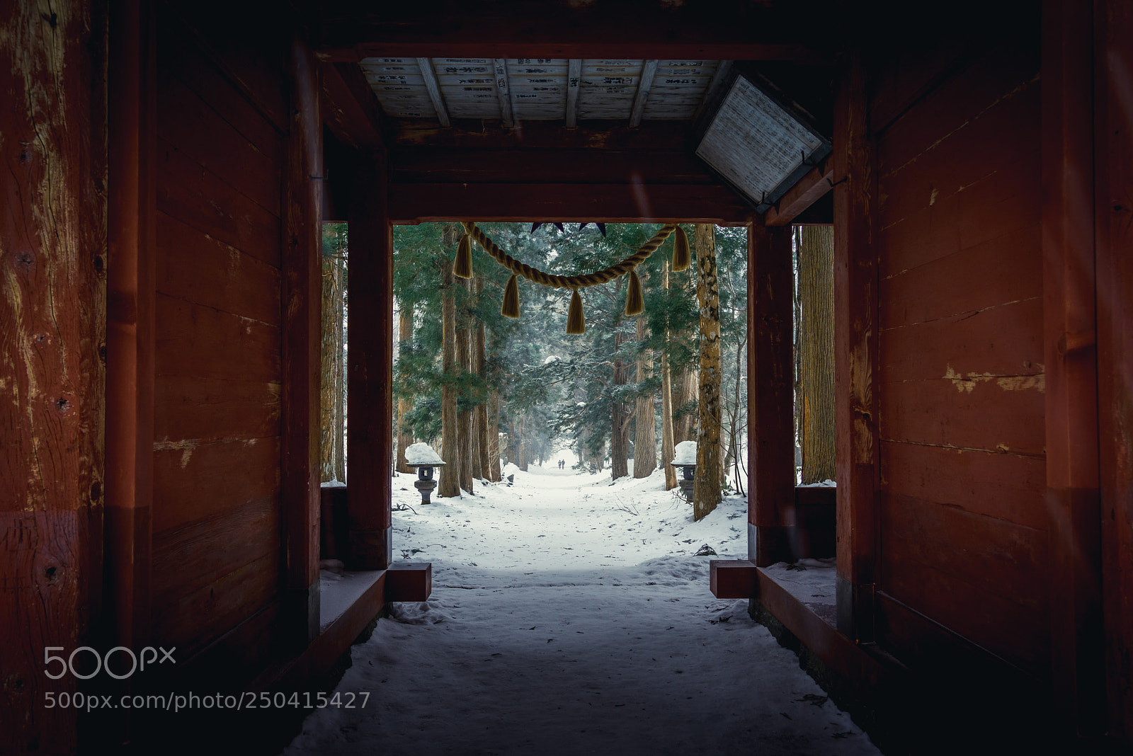Sony a7R sample photo. Enter the woods photography