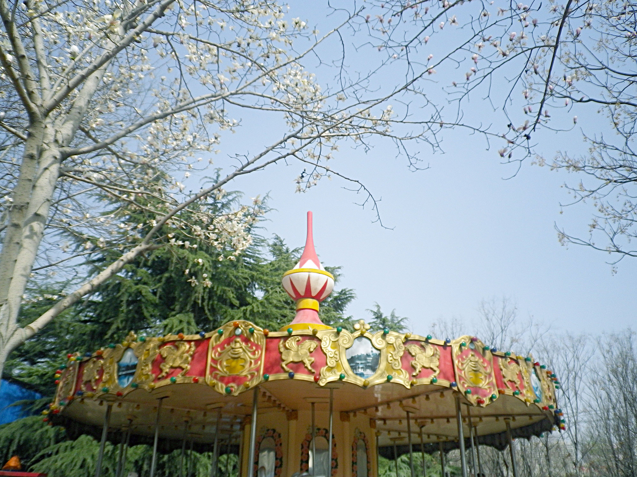 Pentax Optio H90 sample photo. 玉兰色的天 photography