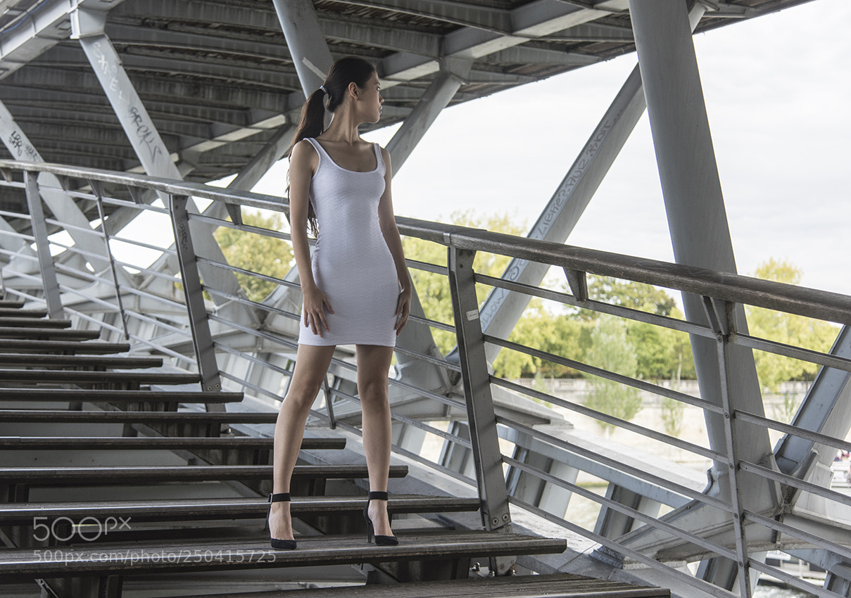 Nikon D810 sample photo. Paris passerelle l opold photography