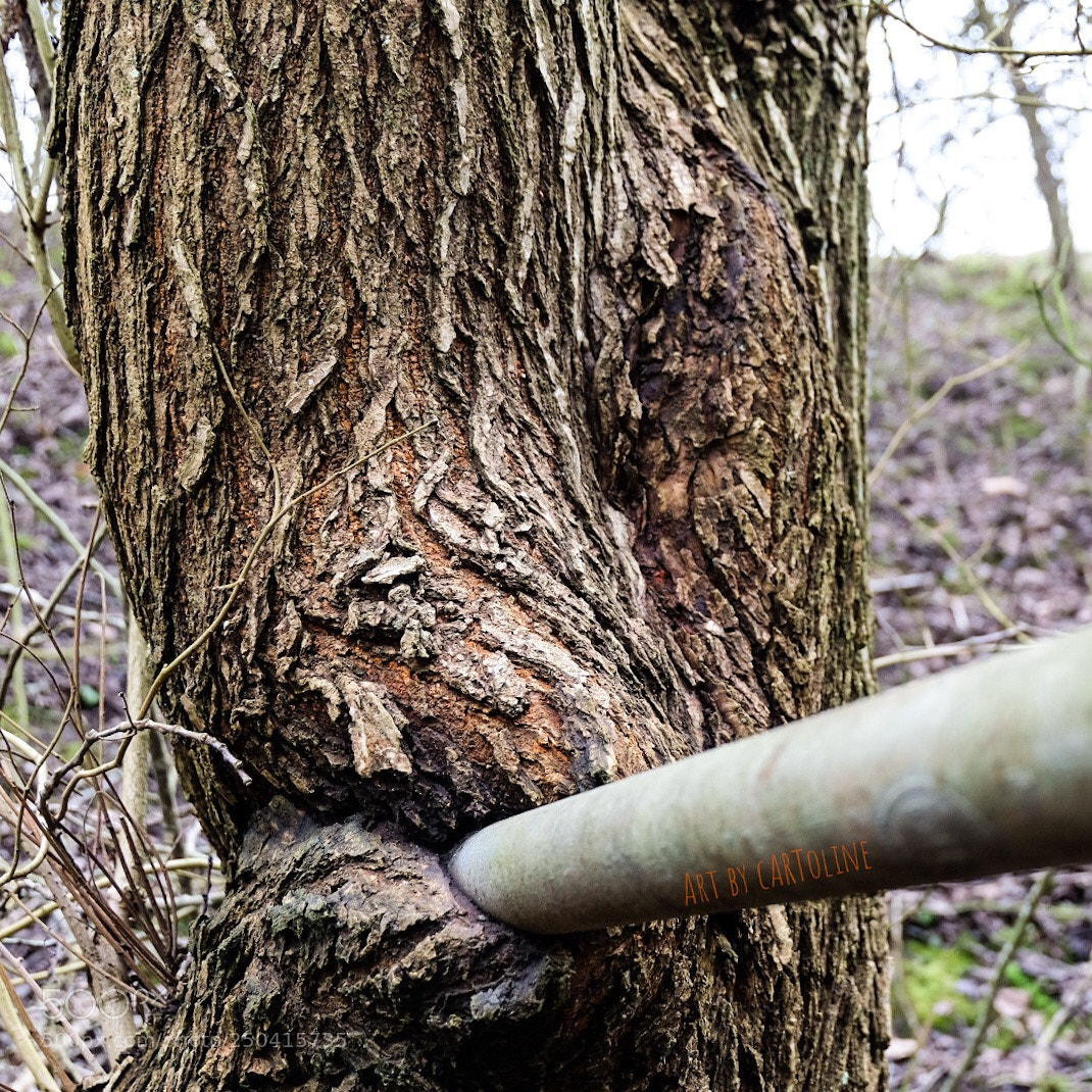 Fujifilm X-T20 sample photo. Metal smoking tree photography