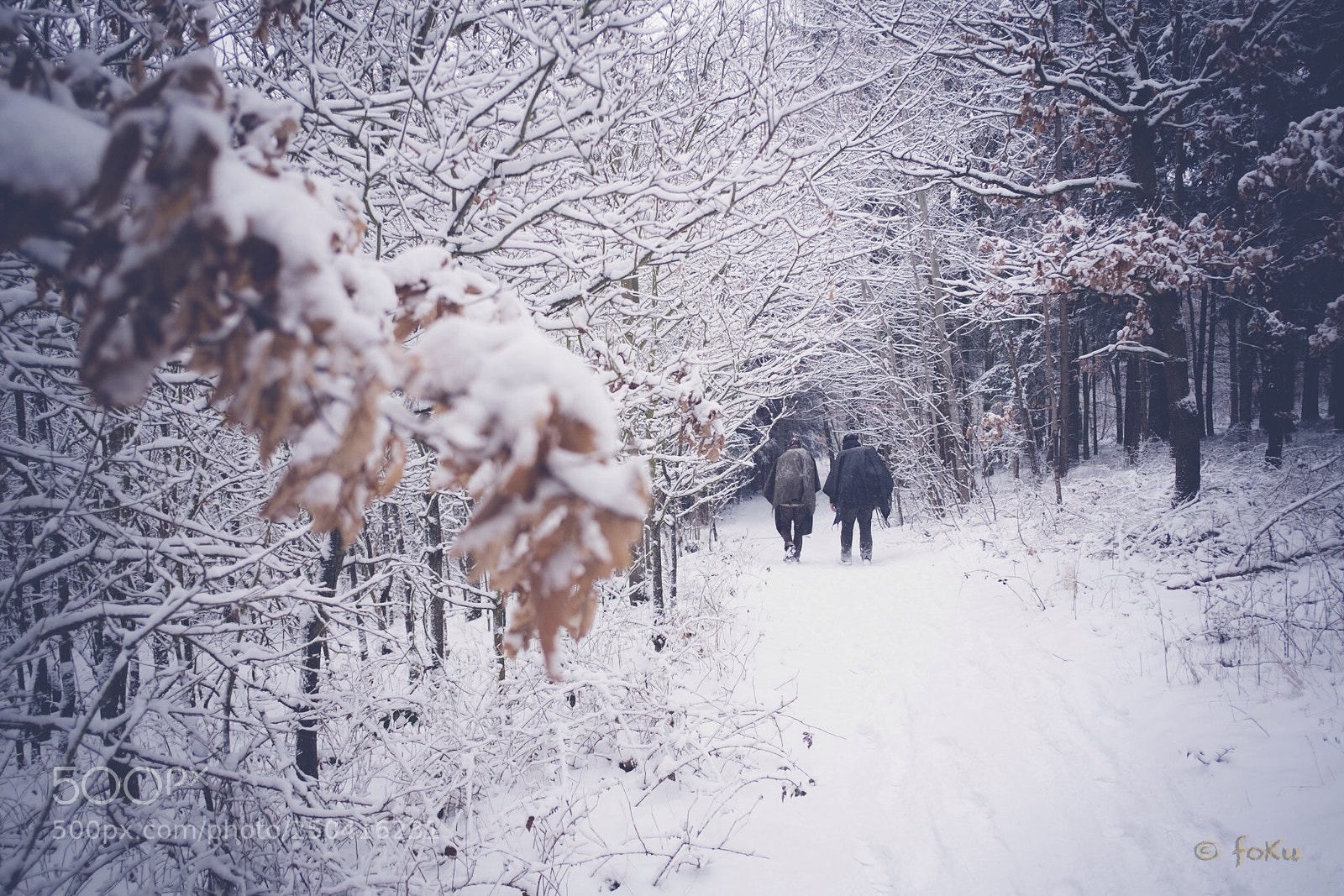 Fujifilm X-Pro1 sample photo. Winter in the spring photography