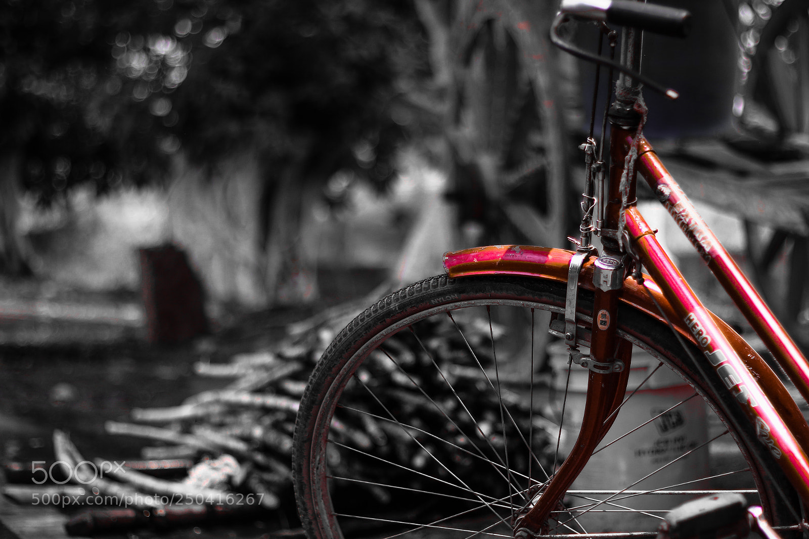 Canon EOS 70D sample photo. Bicycle photography
