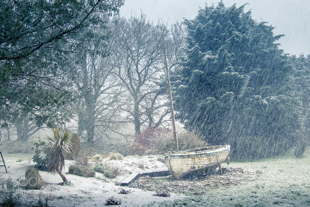 Fujifilm X-T1 sample photo. Stranded in the snow. photography