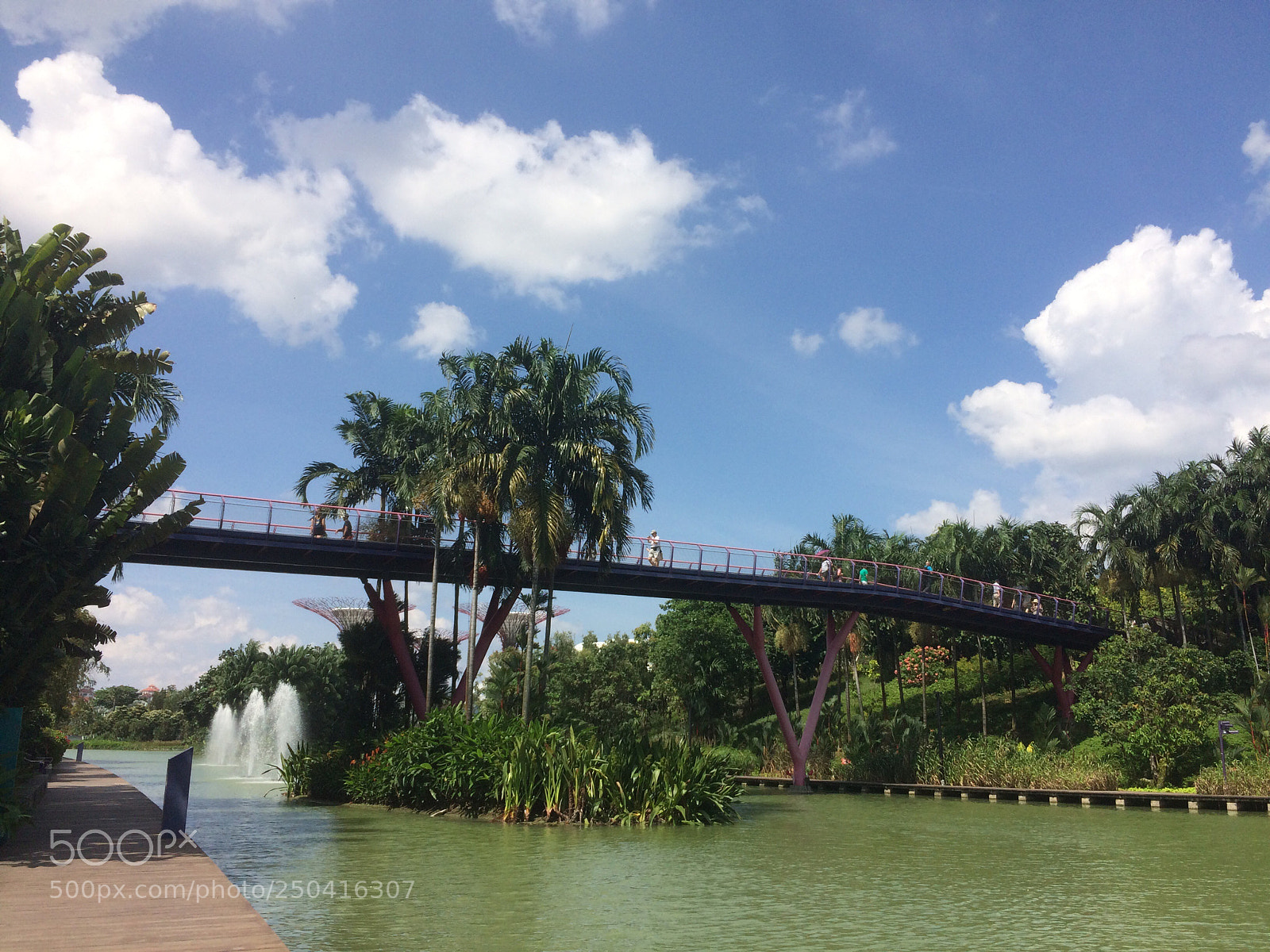 Apple iPhone 5s sample photo. Bridge captured  photography
