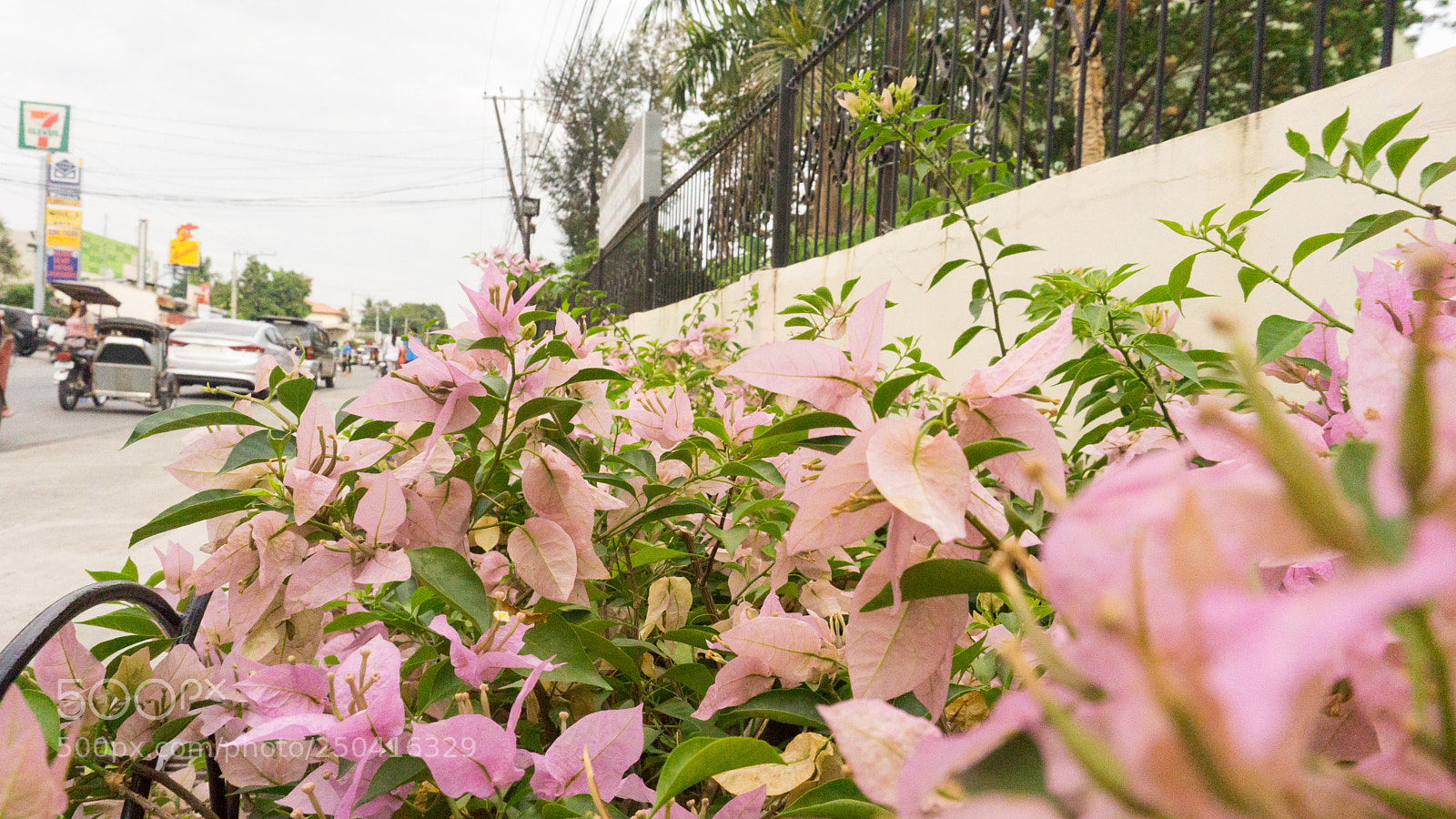 Sony a6000 sample photo. Nature by the city photography