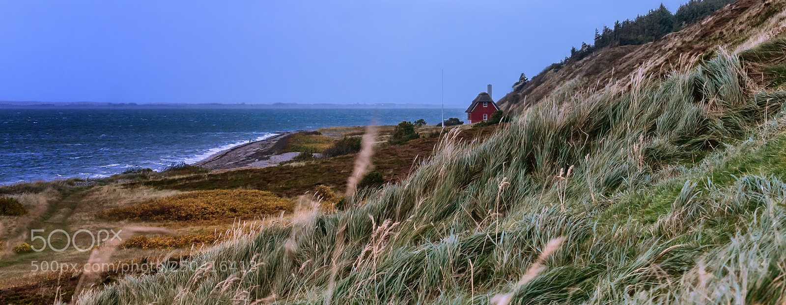 Sony ILCA-77M2 sample photo. Good morning venø photography