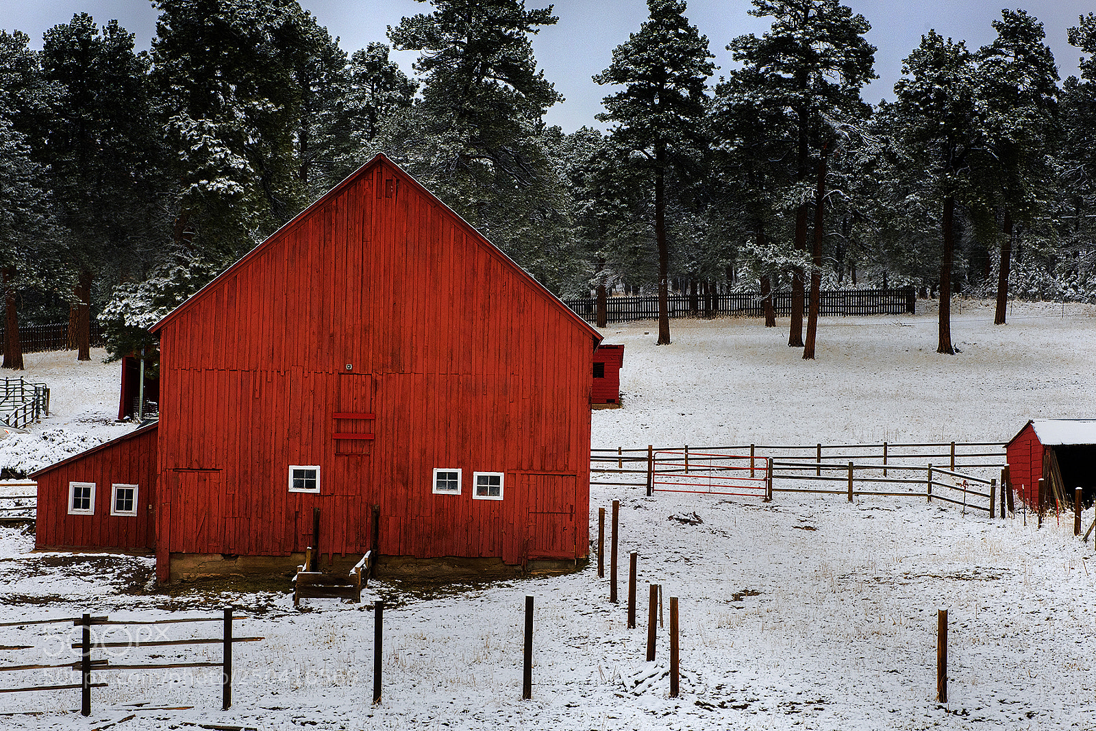 Nikon D810 sample photo. Red barn  colorado. photography