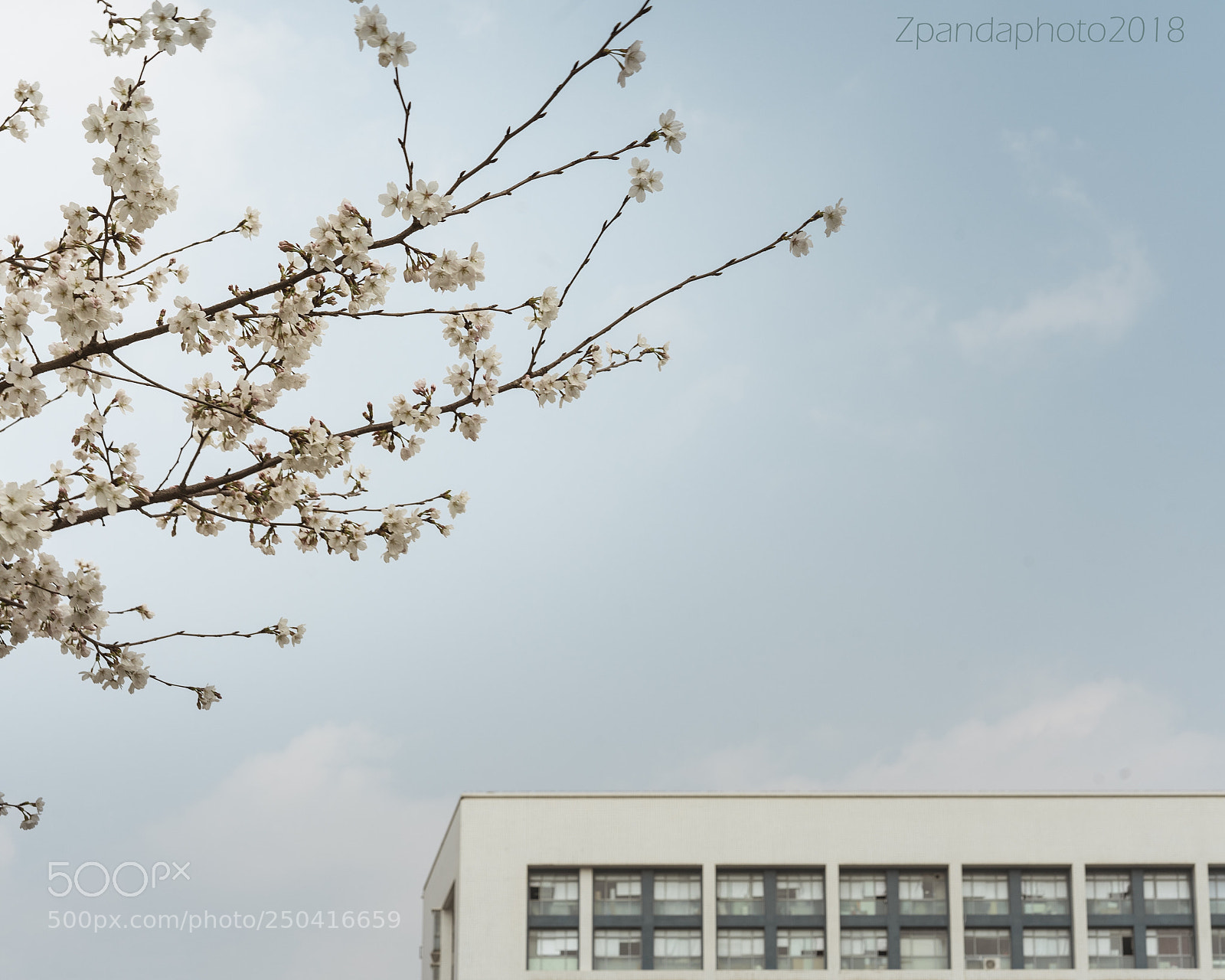 Sony a7R III sample photo. Chemical building in tongji photography