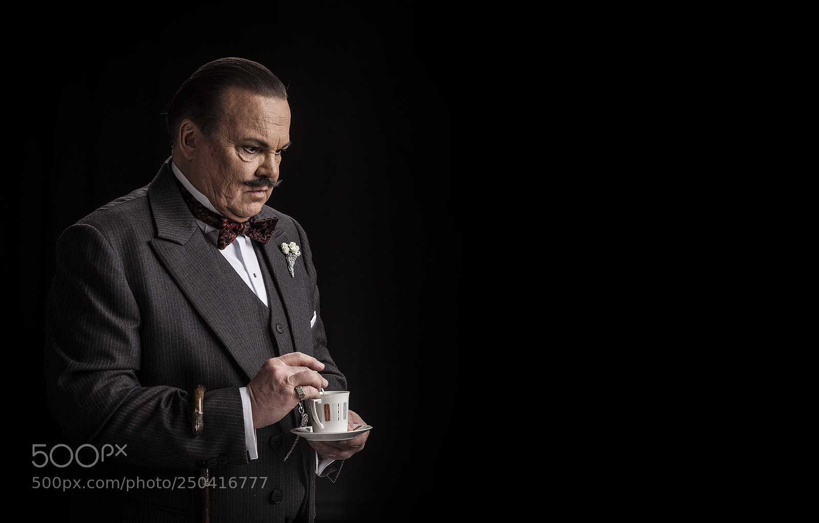 Canon EOS 5D Mark II sample photo. Hercule poirot photography