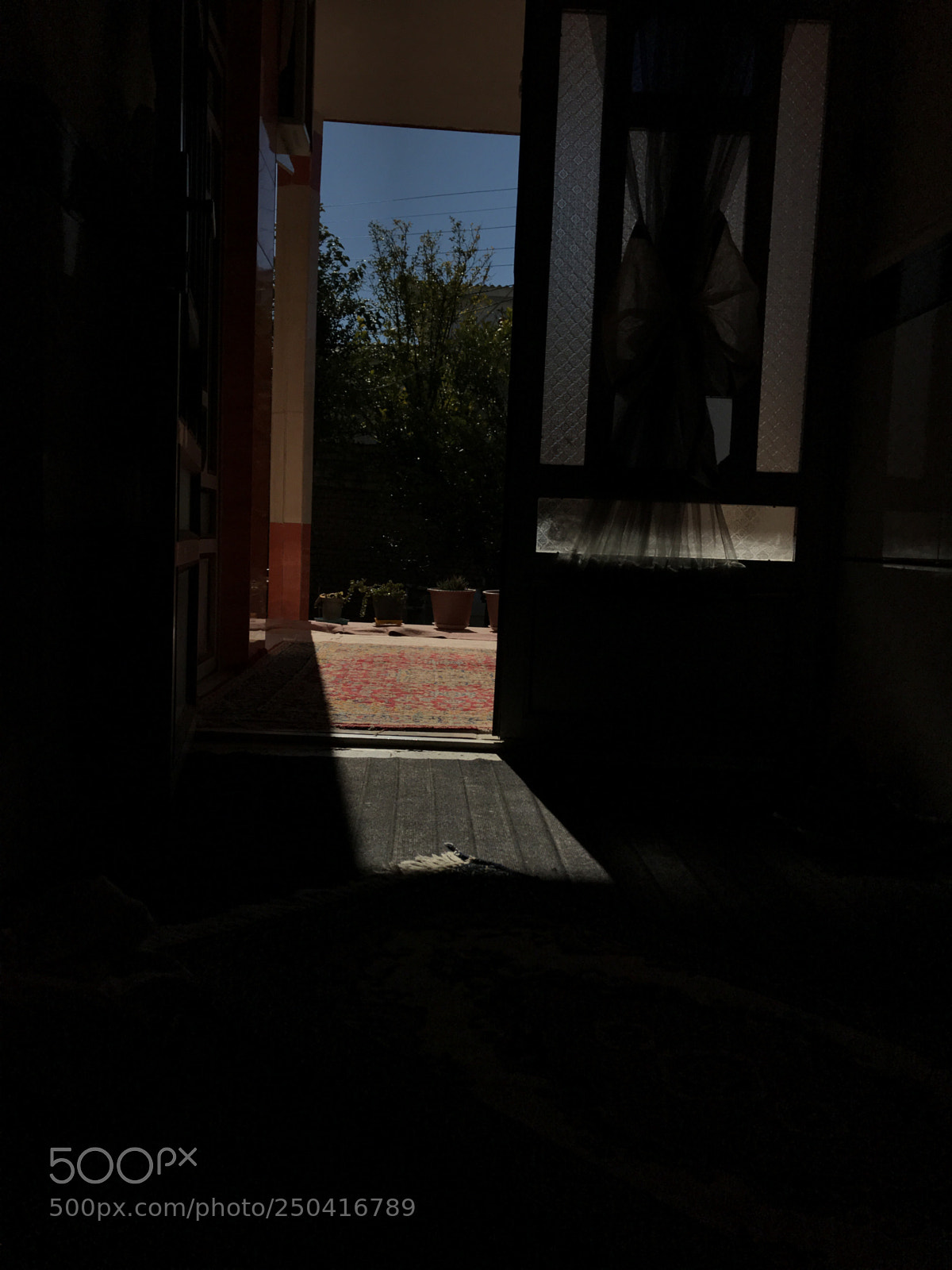 Apple iPhone 7 sample photo. Something promising in the photography