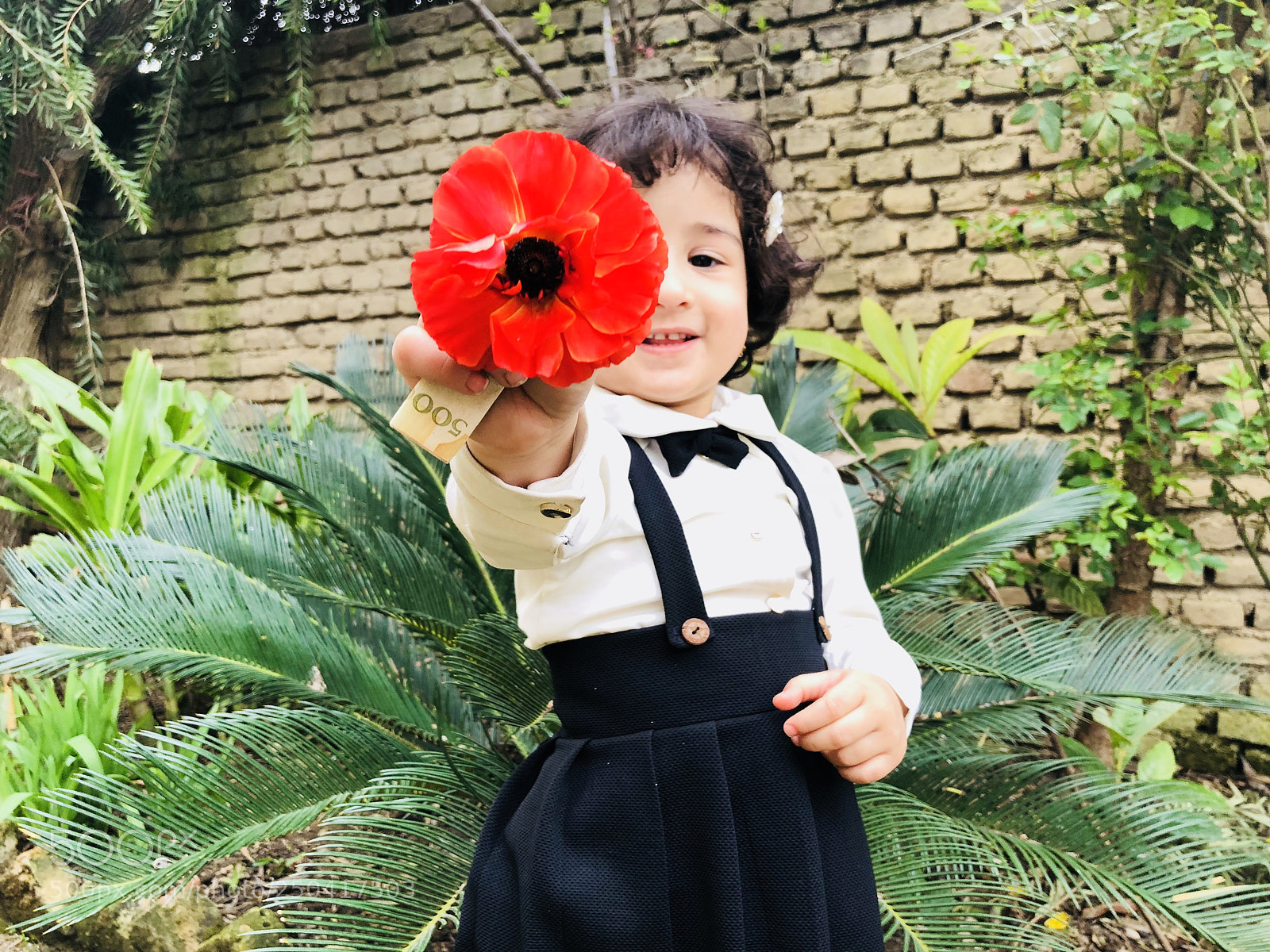 Apple iPhone X sample photo. Untitled photography