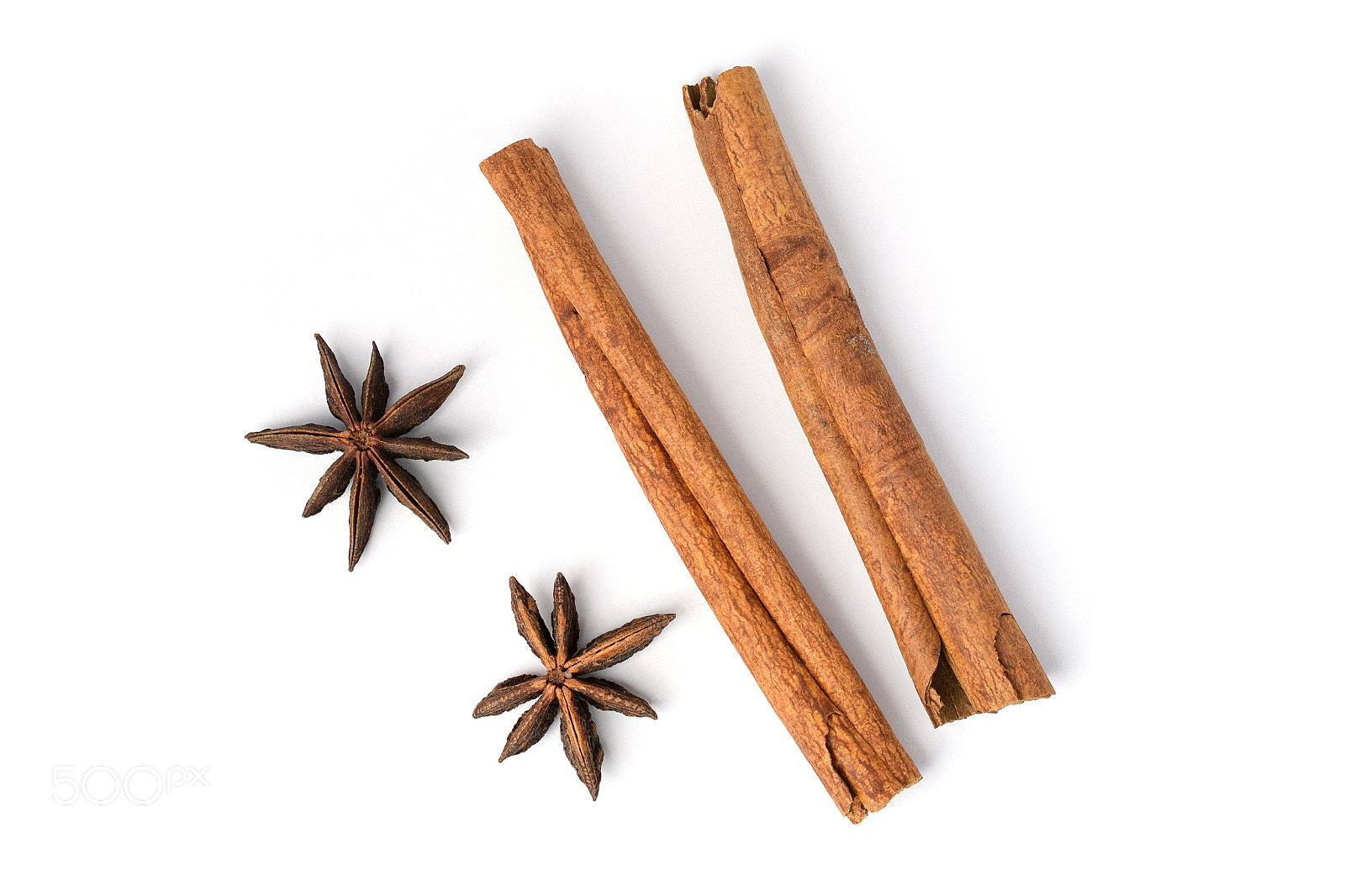 Nikon D5300 sample photo. Two brown vegeterian cinnamon photography