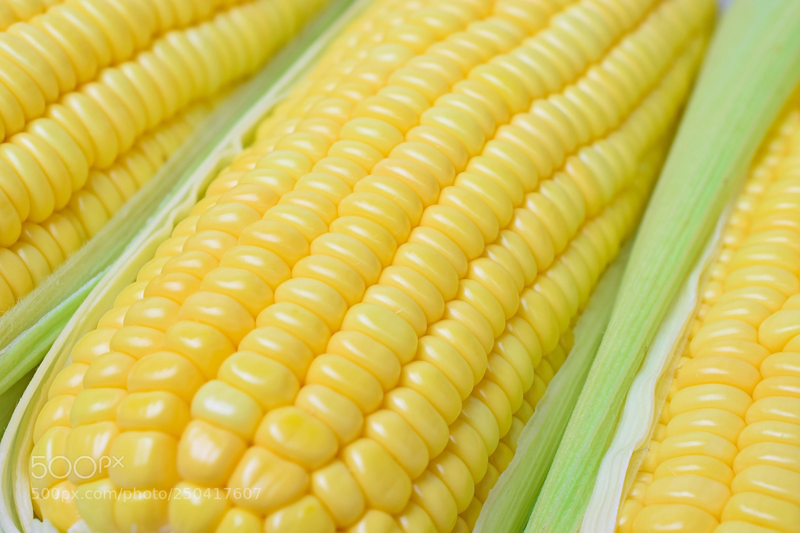 Nikon D5300 sample photo. Fresh peeled sweet corns photography